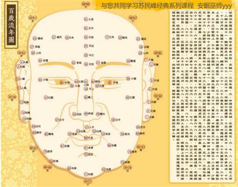 百歲流年圖 面相|峰生水起精讀班面相篇05